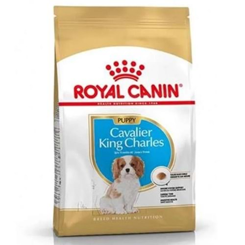 Royal Canin Junior King Charles Yavru Köpek Maması 1,5 Kg