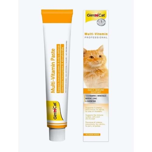 Gimcat Multi Vitamin 100 gr