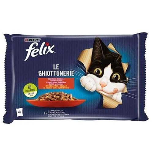 Felix 4lü Ekonomik Paket Pounch 85 Gr. (Sığır Etli&Tavuklu)