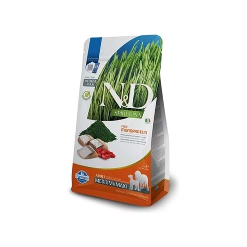 N&D Spirulina M/Maxi Adult Köpek Maması 2 Kg (Ringa ve Gojiberry)