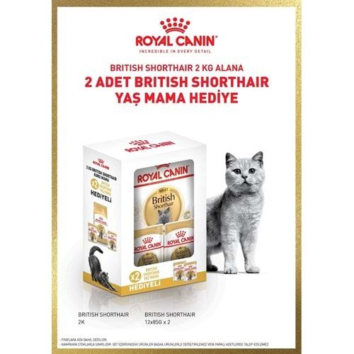 Royal Canin British Shorthair Adult 2kg (bundle)