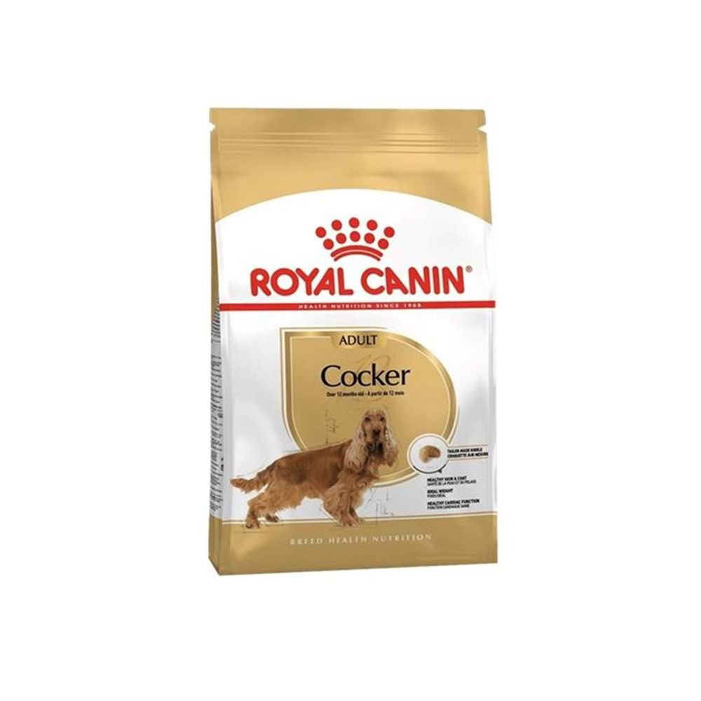 Royal Canin Cocker Spaniel Köpek Maması 3 Kg