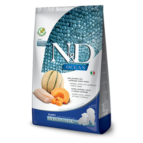 N&D Ocean Balkabaklı M/Maxi Puppy Köpek Maması 2,5 Kg (Morina Balığı&Kavun)