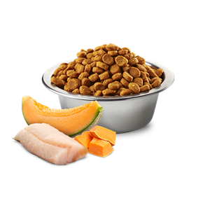 N&D Ocean Balkabaklı M/Maxi Puppy Köpek Maması 2,5 Kg (Morina Balığı&Kavun)
