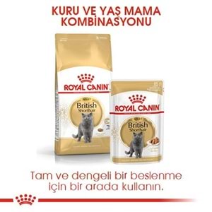 Royal Canin British Shorthair Adult Kedi Maması 10 Kg