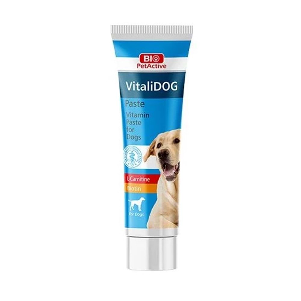 Bio PetActive Vitalidog Paste 100 ml